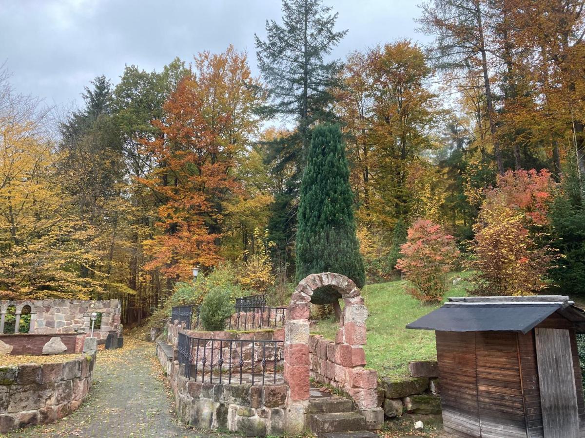 Immensee Ronshausen Zewnętrze zdjęcie