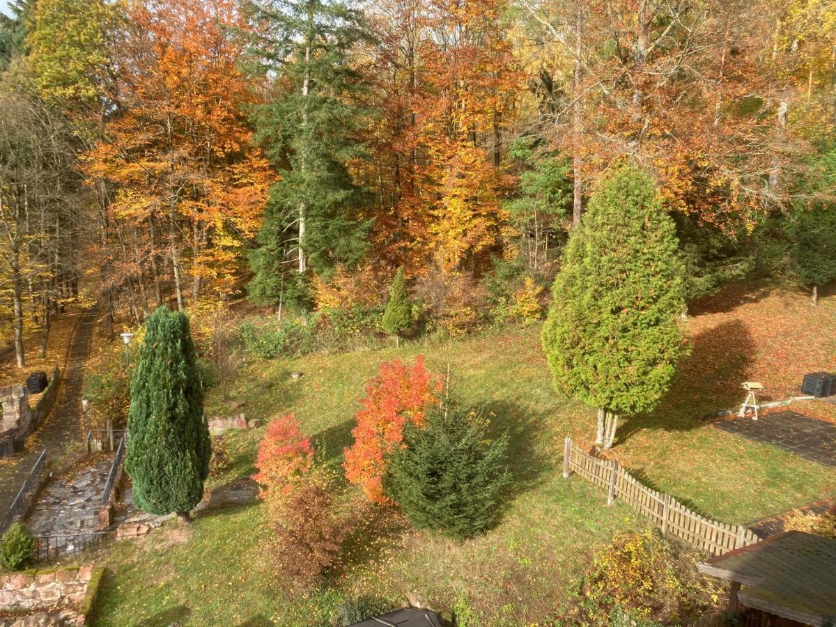 Immensee Ronshausen Zewnętrze zdjęcie