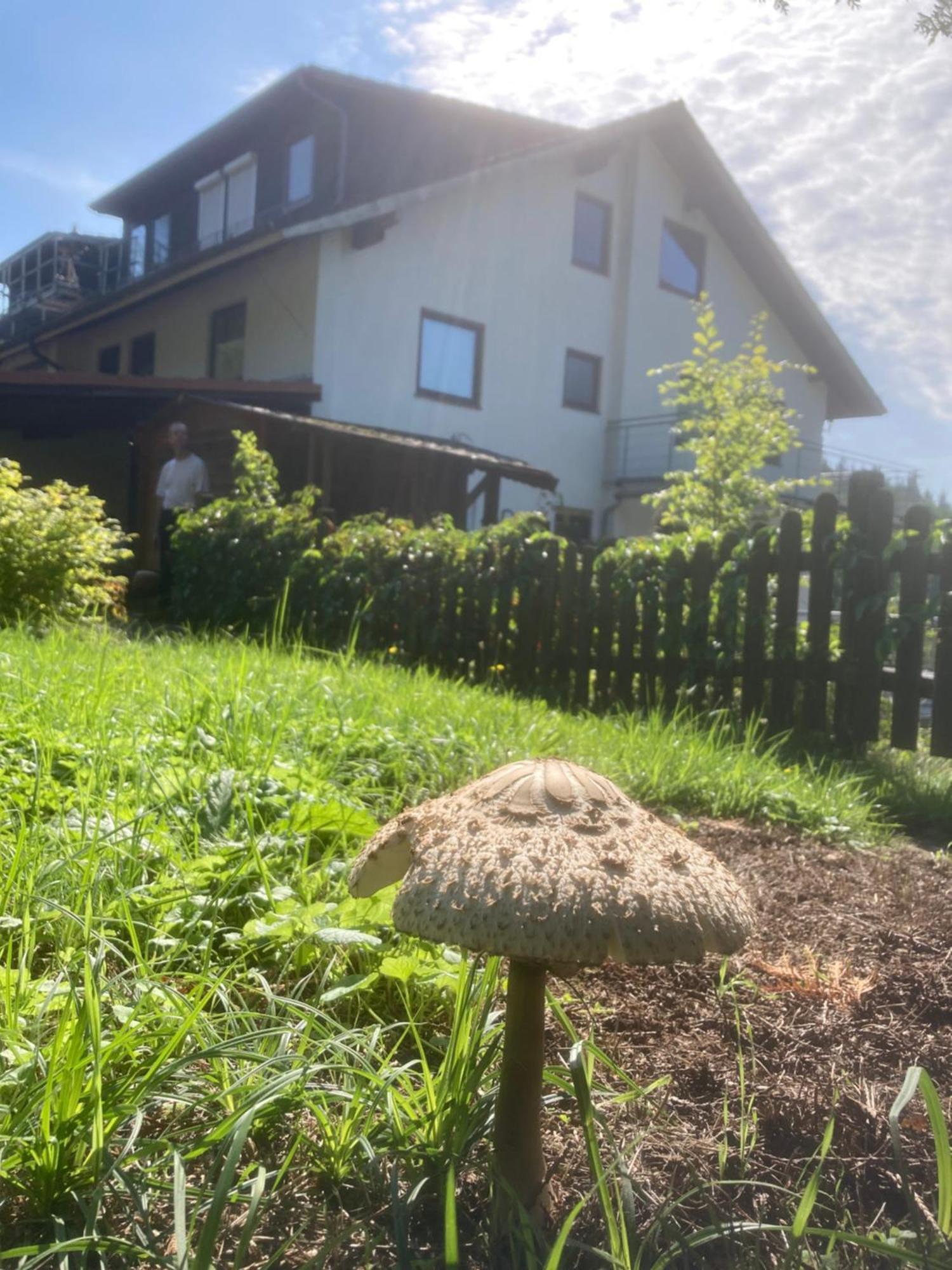 Immensee Ronshausen Zewnętrze zdjęcie